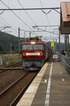 2010Elysian0305.jpg